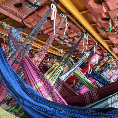 hammocks